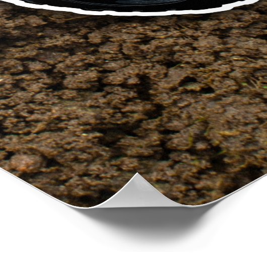 ATV - Wir fahren oder was? Poster (Ecke)