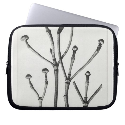 Au Naturel Botanical Print Laptopschutzhülle (Vorderseite)