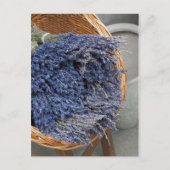 Au pays des lavandes postkarte (Vorderseite)