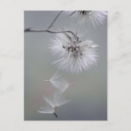 Au Revoir Autumn Blume Seeds verlassend CC0092 Postkarte