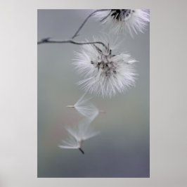 Au Revoir Autumn Blume Seeds verlassend CC0116 Poster