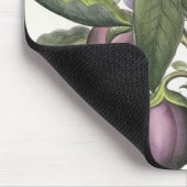 Aubergine: Melanzana fructu pallido, vom 'Hor Mousepad (Ecke)