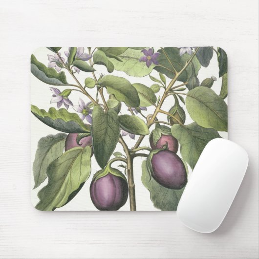 Aubergine: Melanzana fructu pallido, vom 'Hor Mousepad (Mit Mouse)