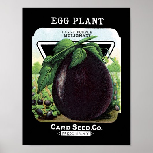 Aubergine-Samenpackungsetikett Poster (Vorne)