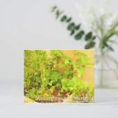 Aubergines & Marigold Postkarte (Stehend Vorderseite)