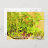 Aubergines & Marigold Postkarte (Vorne/Hinten)