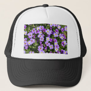 Aubretia auf einer Wiese als Hintergrund Truckerkappe