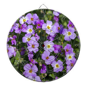 Aubretia im Hintergrund Dartscheibe