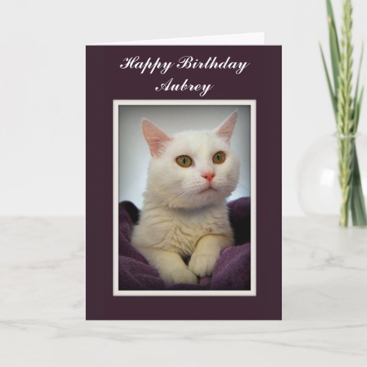 Aubrey Happy Birthday White Cat Card Karte (Vorderseite)