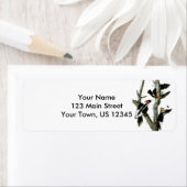 Aububons Elfenbeinspecht in Asche (Insitu)