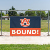 Auburn University | ABSCHLUSS Banner (InSitu)