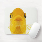 Auch bekannt als Comet-Schwänze Goldfisch. Hardy Mousepad (Mit Mouse)