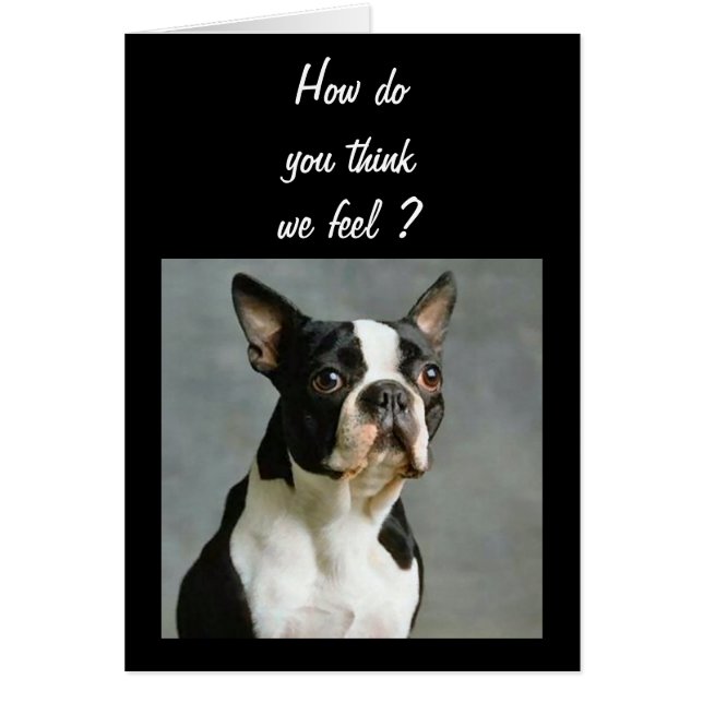 AUCH DIE GRUPPE WIRD BALD 40. (Vorne)