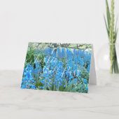 Auch dieses wird Bluebells Bluoral-Zitat passieren Karte (Vorderseite)