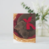 Auch Doberman Pincher. Mittelgroßer Hund Postkarte (Stehend Vorderseite)