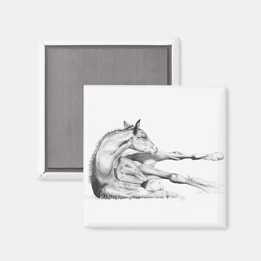 Auch Itch Magnet (Vorderseite/Rückseite)