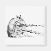 Auch Itch Magnet (Vorne)