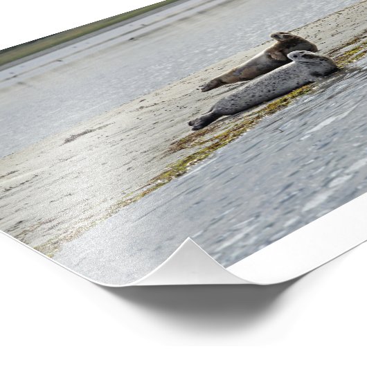 Auch Odde/Dänemark Siegel Foto Print! (Ecke)