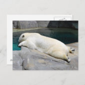 Auch Sonnenbader Postkarte (Vorne/Hinten)