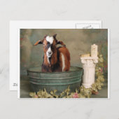 Auch Ziegen brauchen Bäder Postkarte (Vorne/Hinten)