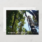 Auckland Postkarte (Vorne/Hinten)