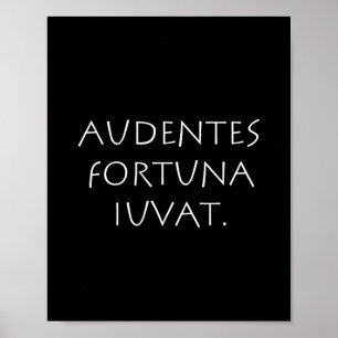 Audentes Schicka iuvat Poster