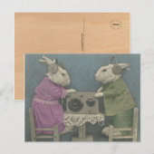 Audiophile Bunnies Postkarte (Vorne/Hinten)