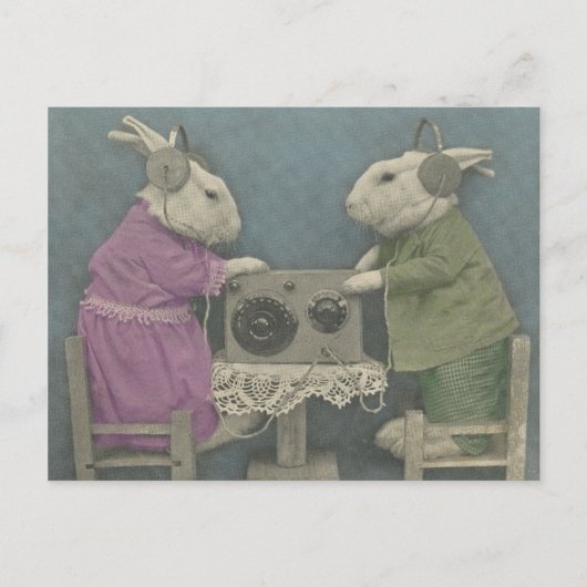 Audiophile Bunnies Postkarte (Vorderseite)