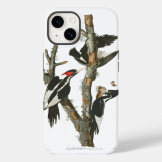 Audobon ausgestorbener Elfenbeinspecht Case-Mate iPhone 14 Hülle