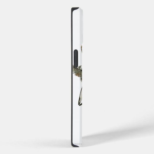 Audobon Extinct Elfenbeinspecht Case-Mate iPhone Hülle (Rückseite / Rechts)