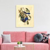 Audobon - Florida Jay Leinwanddruck (Insitu (Wohnzimmer))