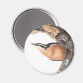 Audobon Red Breasted Nuthatch Magnet (Vorderseite/Rückseite)