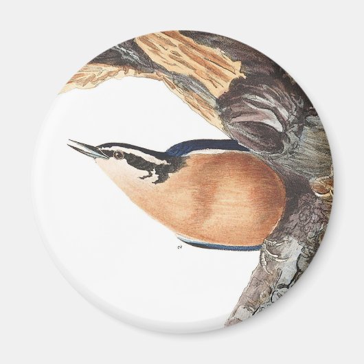 Audobon Red Breasted Nuthatch Magnet (Vorne)
