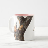 Audobon Red Breasted Nuthatch Zweifarbige Tasse (Vorderseite Links)