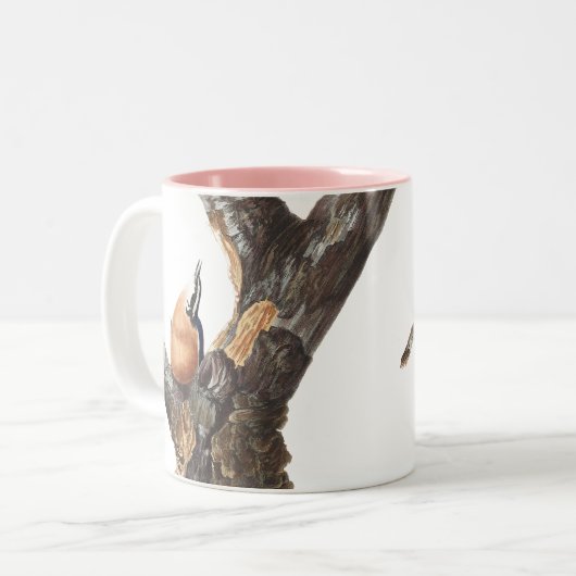 Audobon Red Breasted Nuthatch Zweifarbige Tasse (Vorderseite Links)