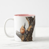 Audobon Red Breasted Nuthatch Zweifarbige Tasse (Links)