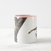 Audobon Red Breasted Nuthatch Zweifarbige Tasse (Mittel)