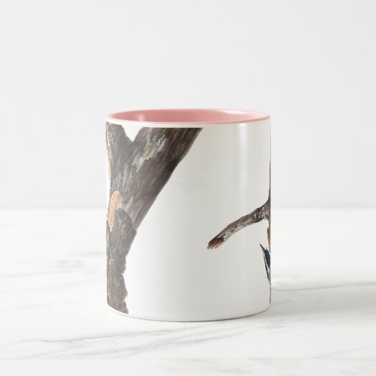 Audobon Red Breasted Nuthatch Zweifarbige Tasse (Mittel)