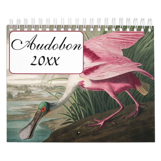 Audobon-Vogelkalender Kalender (Titelbild)