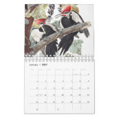 Audobon-Vogelkalender Kalender (Jan 2027)