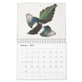 Audobon-Vogelkalender Kalender (Feb 2027)