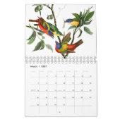 Audobon-Vogelkalender Kalender (Mär 2027)