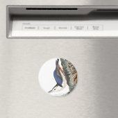 Audobon-Weißbrüste-Nuthatch (schwarz gekappt) Magnet (In Situ (Geschirrspüler))