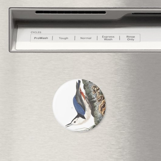 Audobon-Weißbrüste-Nuthatch (schwarz gekappt) Magnet (In Situ (Geschirrspüler))