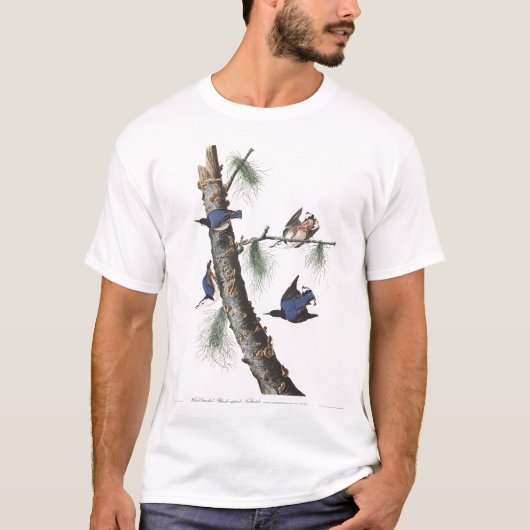 Audobon-Weißbrüste-Nuthatch (schwarz gekappt) T-Shirt (Vorderseite)