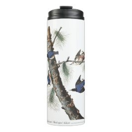 Audobon-Weißbrüste-Nuthatch (schwarz gekappt) Thermosbecher