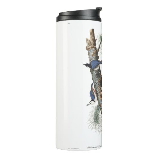 Audobon-Weißbrüste-Nuthatch (schwarz gekappt) Thermosbecher (Nach links gedreht)