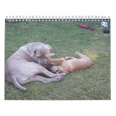 Audrey and Willow Calendar 2013 Kalender (Titelbild)