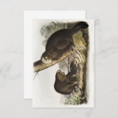 Audubon American Beaver Portrait Einladung (Vorne/Hinten)