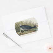 Audubon American Coot from Birds America Runder Aufkleber (Umschlag)